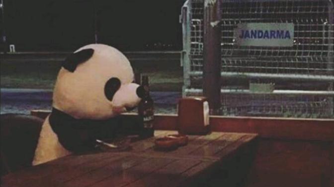 (Resimli) küçük panda'nın psikolojisi bozuldu (eski sevgilim) ne yapabilirim?