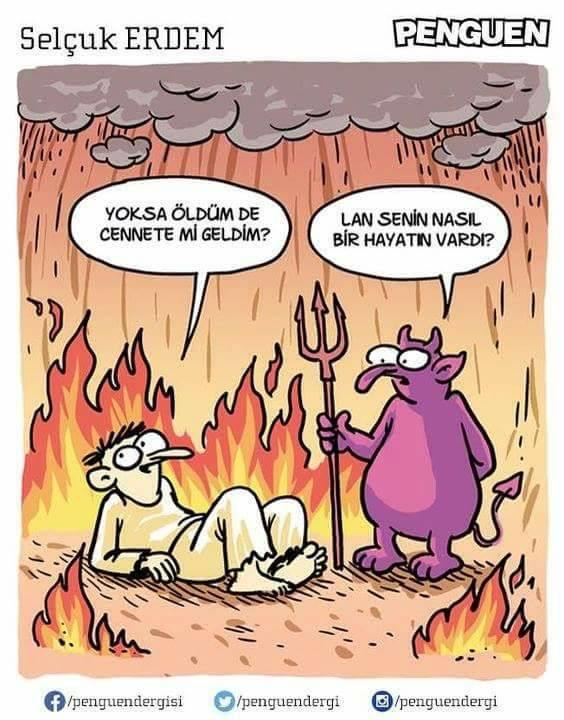 Sizin beğendiğiniz karikatürler var mı? 😃?