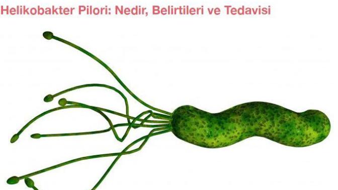 Helikobakter Pilori teşhisi konulup kesin çözüm bulmuş birisi var mı?