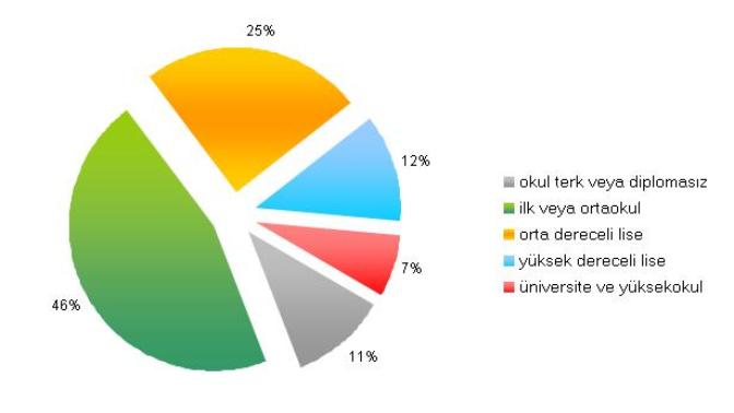 Yurt dışında yaşayan Türkler neden cahil?
