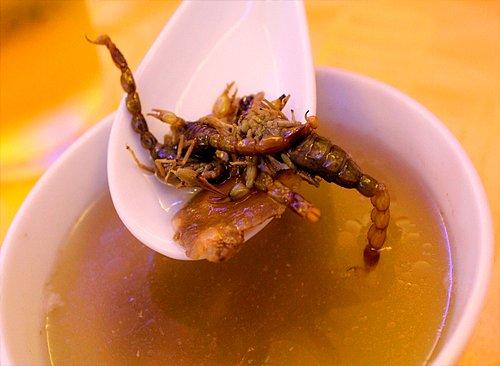 Akrep çorbası içer miydiniz?