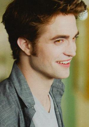 Kızlar, Vampire Diaries Damon mu Twilight Edward mı?