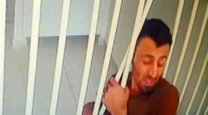 Tavşan kafesi kemirir mi?