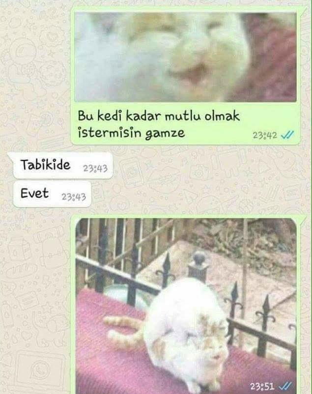 Birazda gülelim mi :)?