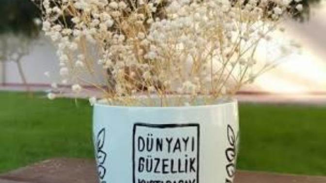 Dünyayı gerçekten güzellikler mi kurtaracak?