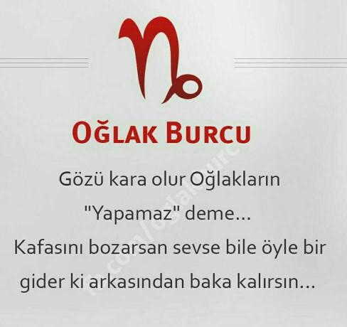 Oğlak burcu erkeği hangi burca sahip bir kadinla en mutlu hayat sürer??