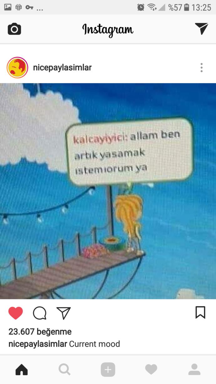 Sanalika oynamışmıydınız 🙄😊😊🤣??