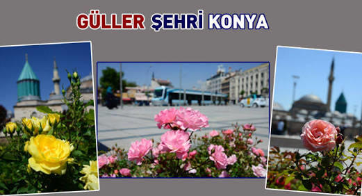 +1 Konya’yı seviyor musunuz?