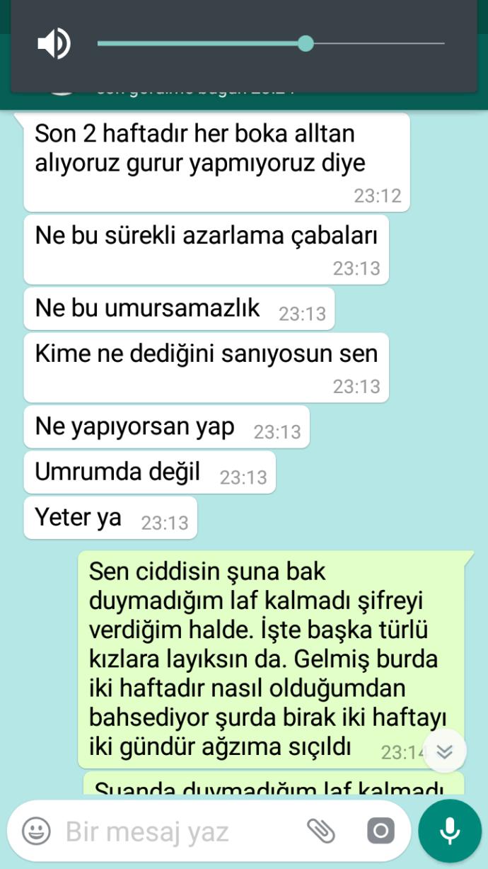 Wp konuşmalarına bakar mısınız? Ne yapayım ben kafayı yiyeceğim?