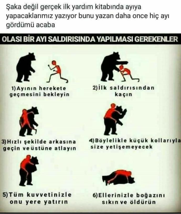 Ayı saldırısında ne yapacağınızı biliyor musunuz ?
