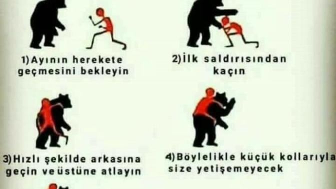 Ayı saldırısında ne yapacağınızı biliyor musunuz?
