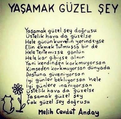 Hayat yaşamaya, insanlar sevilmeye değer mi?