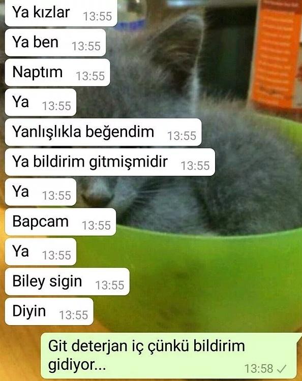 En yürek burkanı hangi bakış?