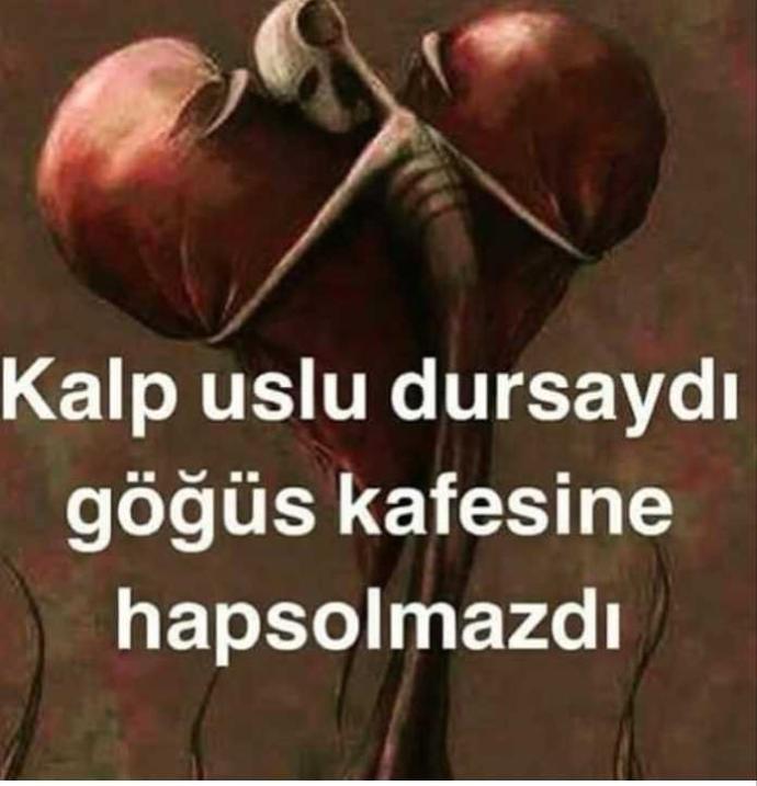 Kalp uslu dursaydi goğus kafesine hapsolmazdi?