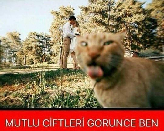Mutlu çiftleri görünce canınız sıkılıyor mu??