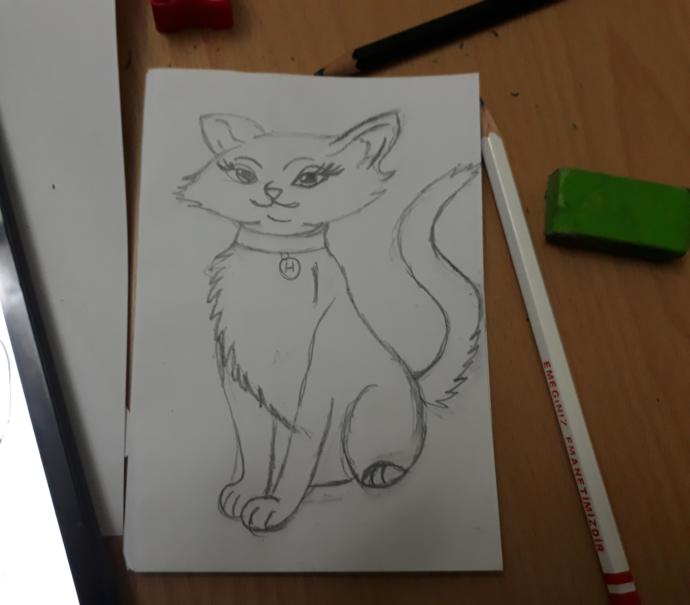 İlk kez kedi çizdim nasıl?