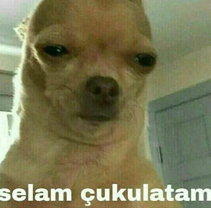 Selam çukulatalarım keyifler nasıl ???
