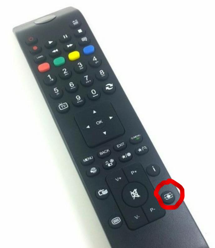 Aranızda pilot var mı ?