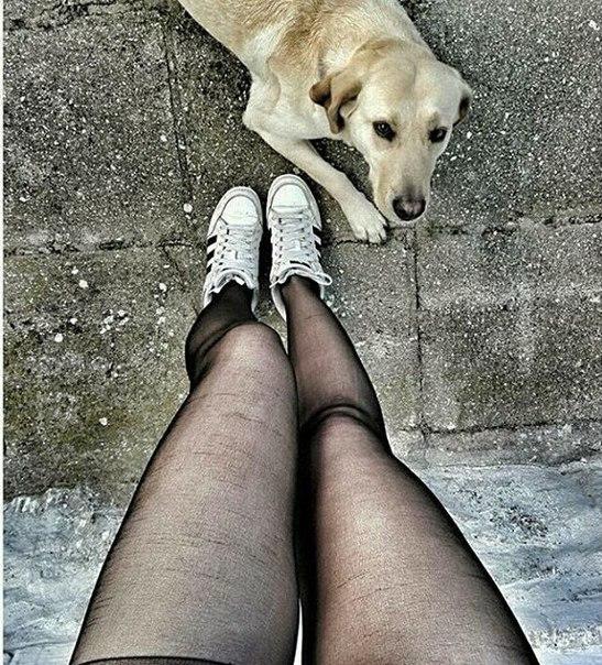 😊😊😊 Bugün sokakta  bir  köpek çıktı karşıma biraz sevdim derken önüme yattı  bir  yere yollamadı beni çok sevimli değil mi sizce de?