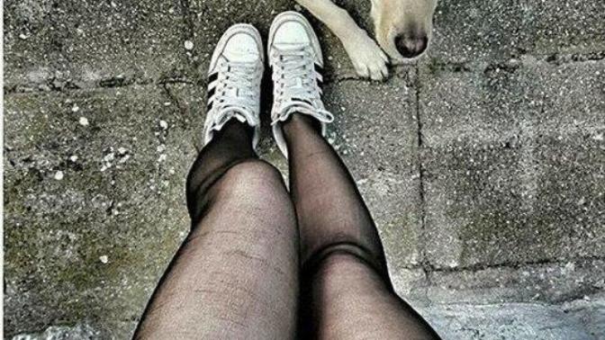 Bugün sokakta bir köpek çıktı karşıma, biraz sevdim derken önüme yattı bir yere yollamadı beni. Çok sevimli değil mi?
