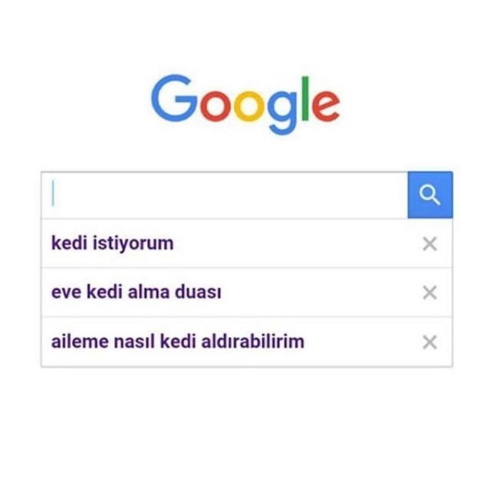 Dikişe gerek var mıdır kedim gözümün altını böyle yaptı?