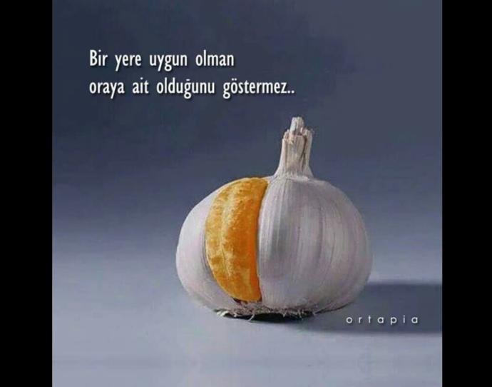 Bir yere uygun olman oraya ait olduğunu göstermez! Siz hiç kendinizi ait olmadığınız bir yere uygun hissettiniz mi?