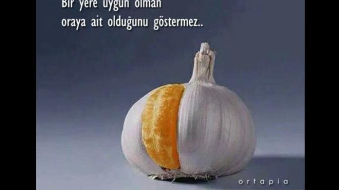 Bir yere uygun olman oraya ait olduğunu göstermez! Siz hiç kendinizi ait olmadığınız bir yere uygun hissettiniz mi?