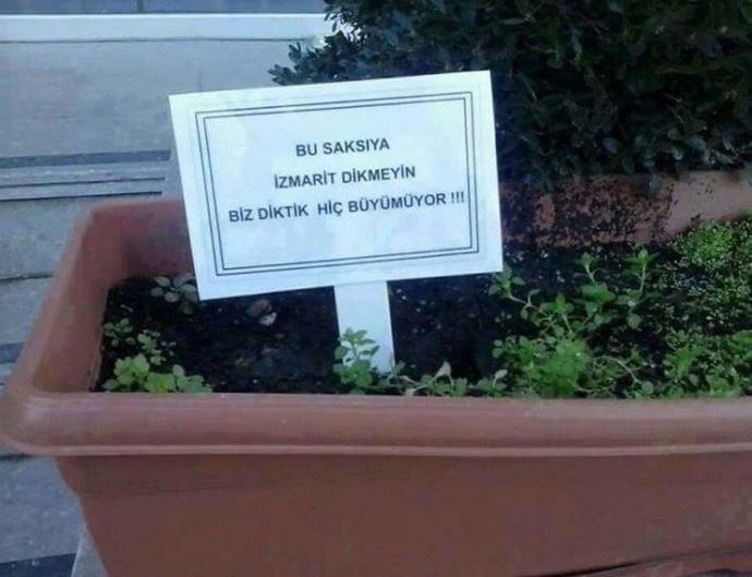 Saksıya izmarit attınız mı hiç?