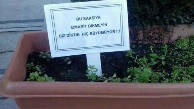 Saksıya izmarit attınız mı hiç?