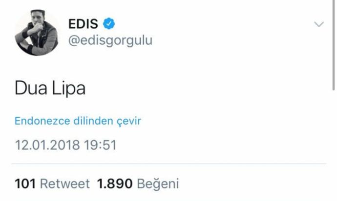 DUA LIPA'YI SEVİYOR MUSUNUZ ?