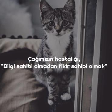 İnsan hiç tanımadığı birini neden eleştirir?
