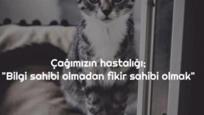 İnsan hiç tanımadığı birini neden eleştirir?