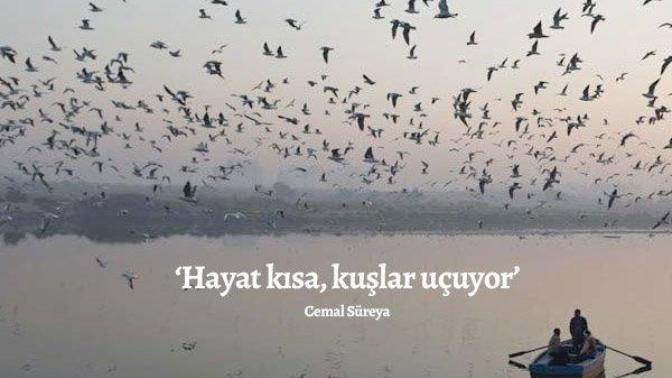 "Hayat kısa, kuşlar uçuyor" cümlesi ne demek?