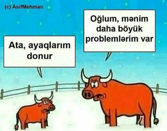 Azerice nasıl öğrenilir?