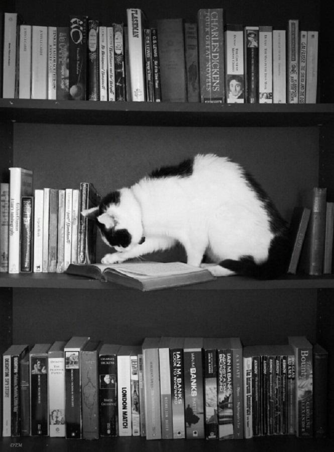 Kitap okumak mı film izlemek mi? Hangisi kişiye daha çok şey katar?