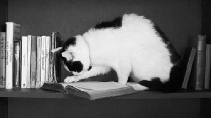 Kitap okumak mı film izlemek mi? Hangisi kişiye daha çok şey katar?