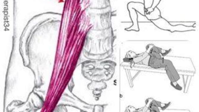 PSOAS kası nedir?