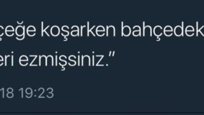 Bir çiçeğe koşarken bahçedeki tüm çiçekleri ezer misiniz?