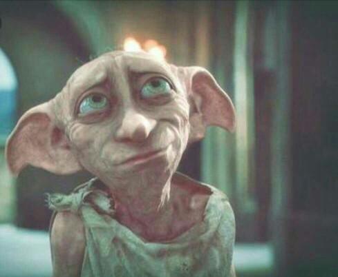 Hangi Harry Potter karakteri???