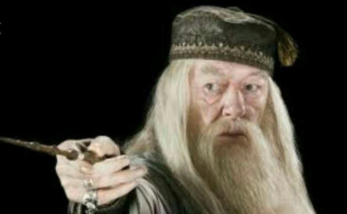 Hangi Harry Potter karakteri???
