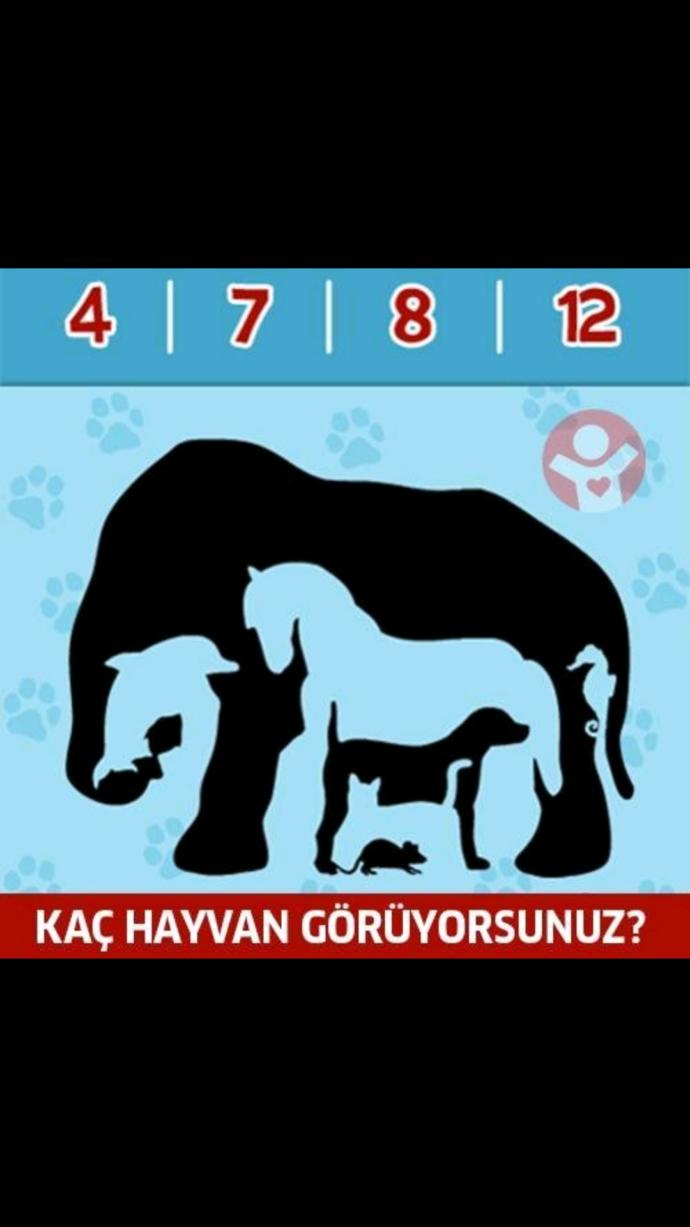 Görselde kaç tane hayvan var?