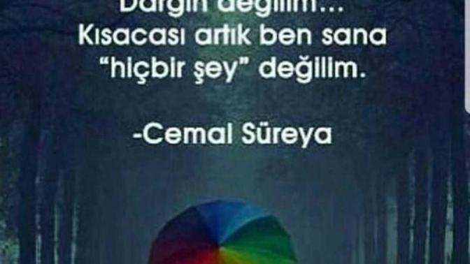 Ben artık sana 'hicbiseyim' dediğiniz birisi var mı hayatınızda ?