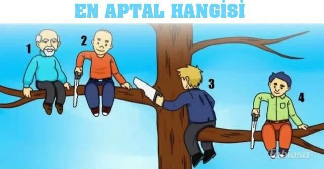 En aptal hangisi? 