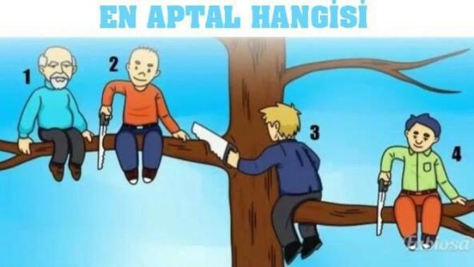En aptal hangisi?
