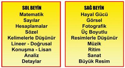 Sizce Sağ Beyin mi ? Sol Beyin mi ?