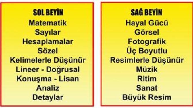 Sizce Sağ Beyin mi? Sol Beyin mi?
