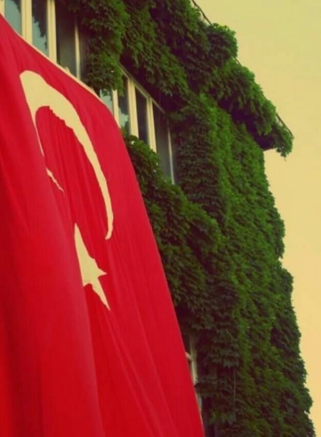 Her şeyden önce kendini sev! Kendine sevgililer günü mesajın nedir?