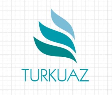  bir  şirket kursanız adı ne olurdu?