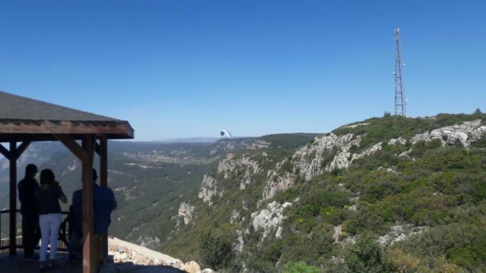 Aranızda amatör resim çekmeyi sevenler var mı?