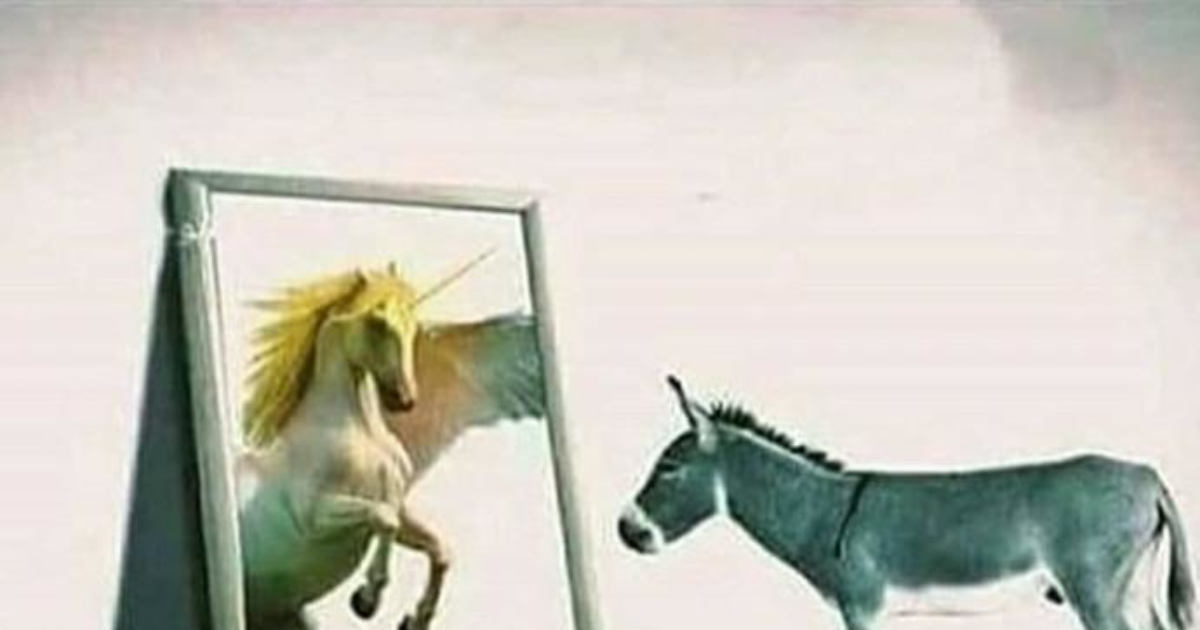 eşeklerin cinsel ilişkileri eşeklerin cinsel ilişkileri